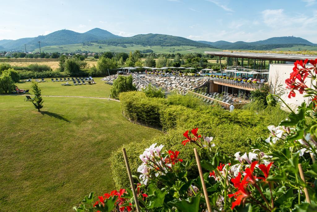 Hotel Barriere Ribeauville Екстериор снимка